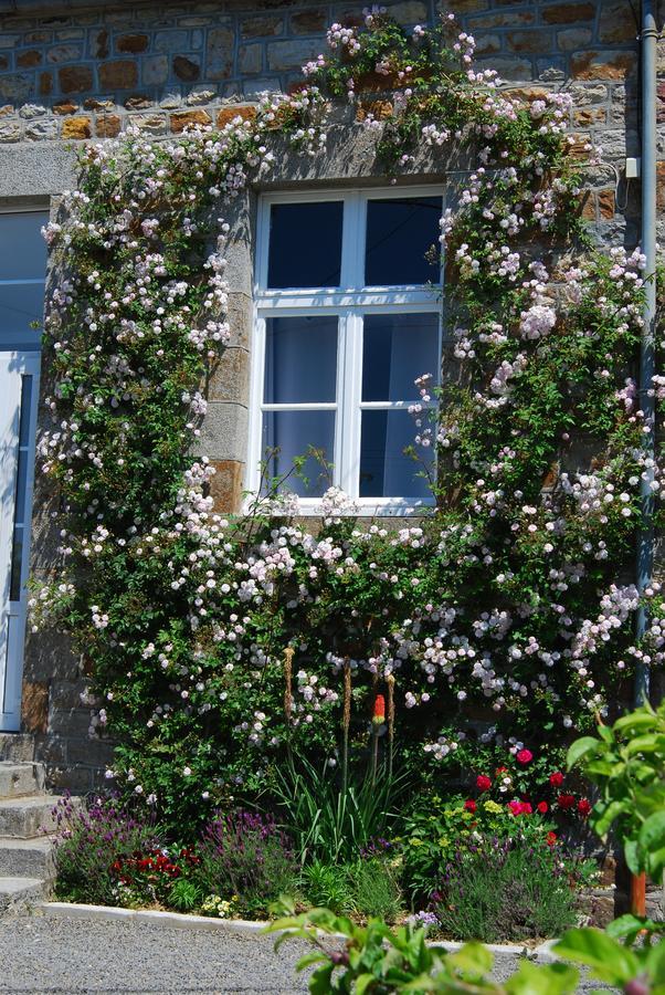 Maison Voie Verte Bed & Breakfast Bion Exterior photo